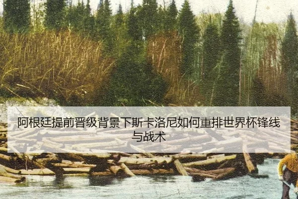 a-gen-ting-ti-qian-jin-ji-bei-jing-xia-si-ka-luo-ni-ru-he-zhong-pai-shi-jie-bei-feng-xian-yu-zhan-shu-2-216.jpg